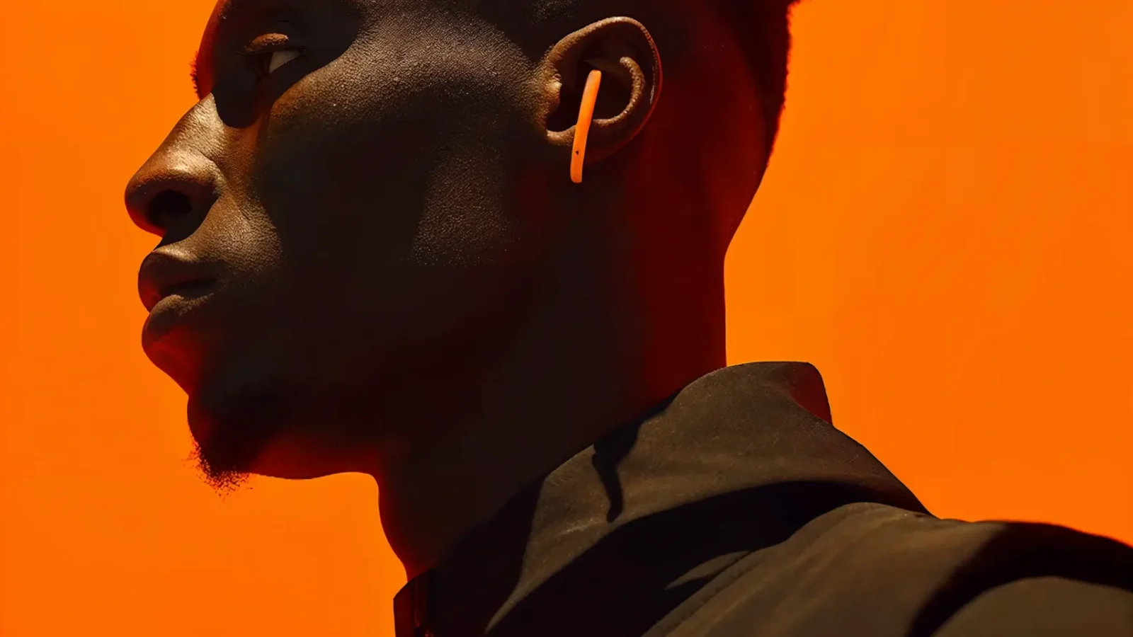 portfolio-Black-Bird